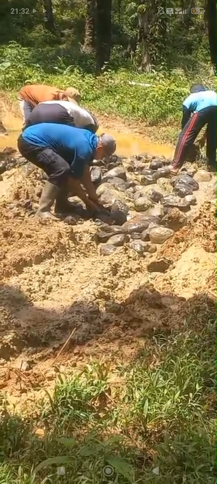 Pengangkutan Batu Guna Perbaikan Jalan Perkebunan Sawit Koperasi Produsen Madani