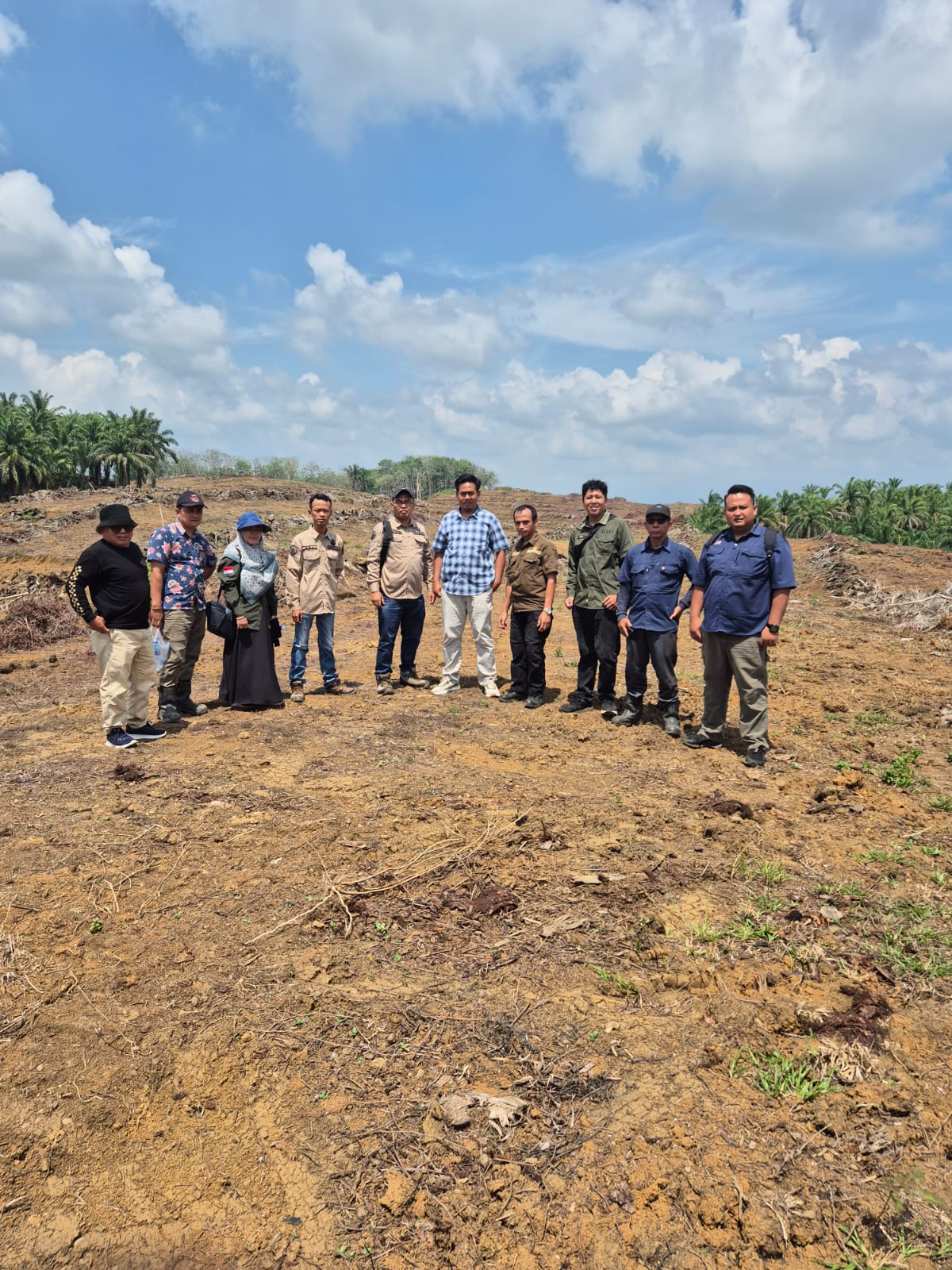 Dinas Pertanian, Ketahanan Pangan dan Holtikultura Solok Selatan Tinjau Progres PSR