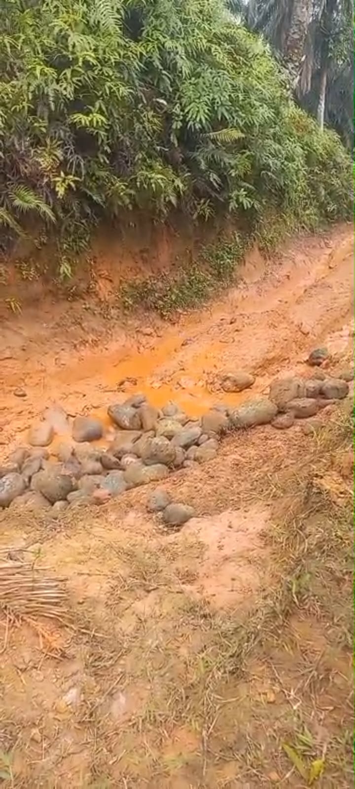 Pengangkutan Batu Guna Perbaikan Jalan Perkebunan Sawit Koperasi Produsen Madani